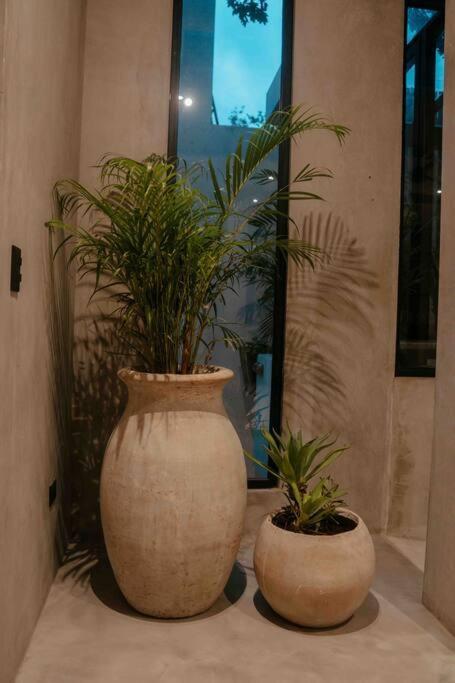 Villa Camila Tulum Extérieur photo